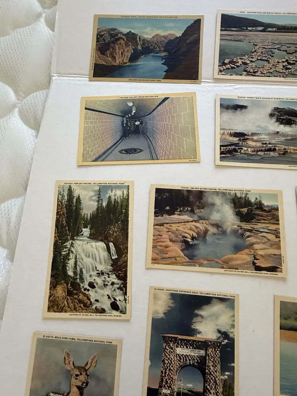 18 Vintage Yellowstone National Park Linen Postcards Unposted Old Faithful Wildl